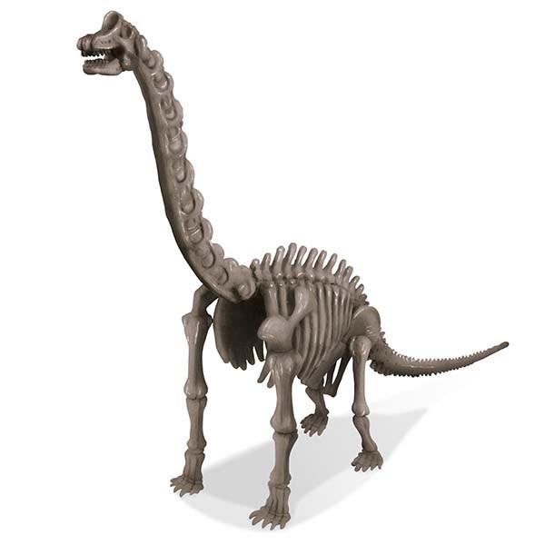 4M &#8211; Dig A Dinosaur Brachisaurus 1
