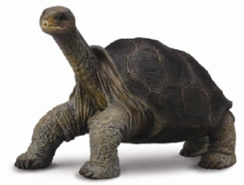 Collecta &#8211; Pinta Island tortoise George