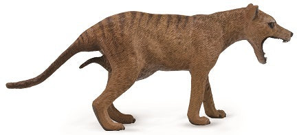 Collecta &#8211; Thylacine Tasmanian tiger