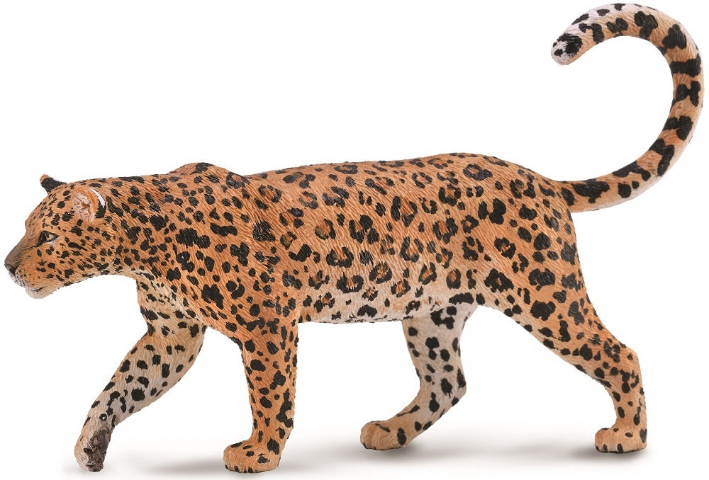 Collectable &#8211; African Leopard