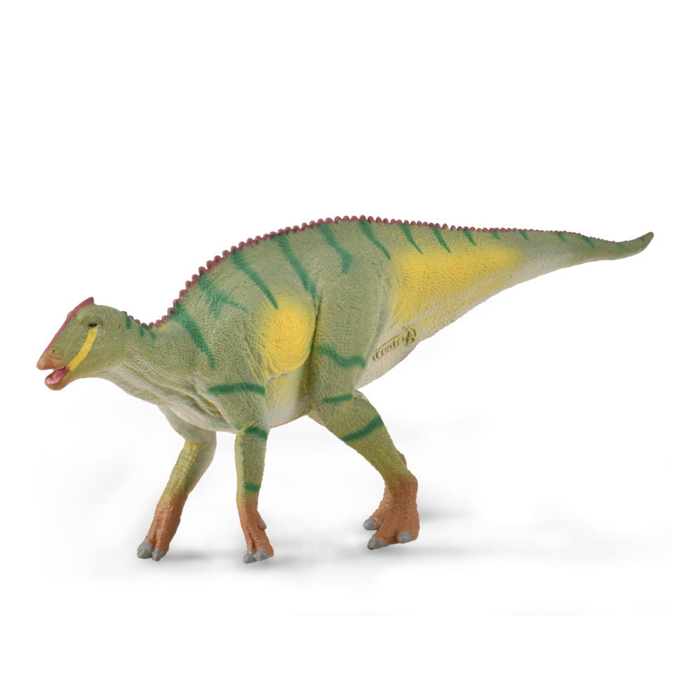 Kamuysaurus
