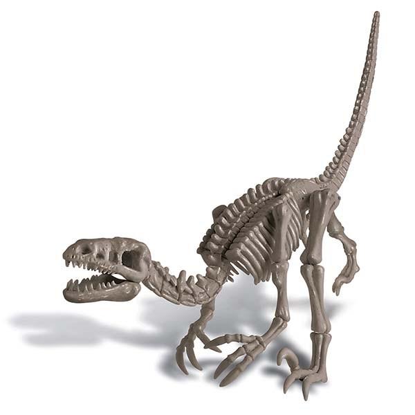 4M &#8211; Dig a Dinosaur &#8211; Velociraptor 1