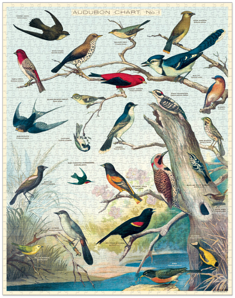 Cavallini 1000 Pc Puzzle – Audubon Birds new
