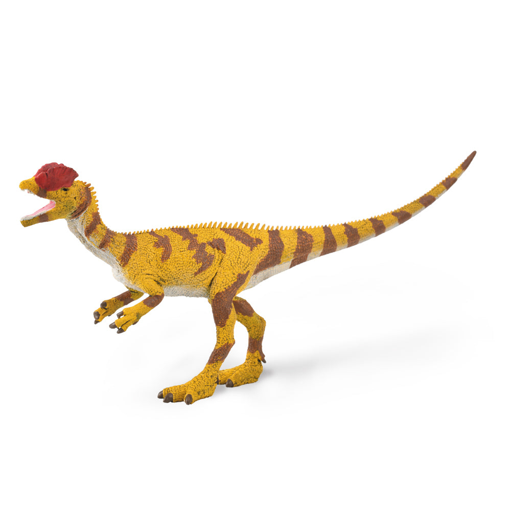 Collecta &#8211; Dilophosaurus