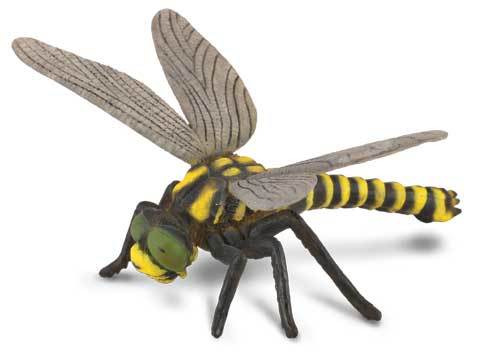 Collecta – Gold Ringed Dragonfly