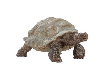 Giant-tortoise
