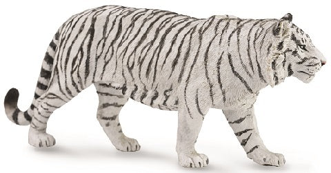 WHITE TIGER (XL)
